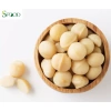 Hạt macca tách vỏ Sfood - Tuyển to đều, bùi ngậy, vị ngọt tự nhiên, giảm còn 90.000đ 3