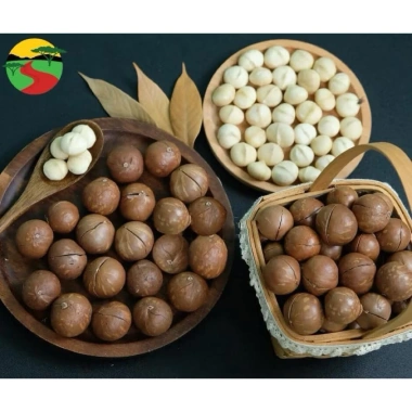 Hạt Macca Tây Nguyên to 500g - Ngon giòn, giàu dinh dưỡng, chỉ 125k (giảm từ 157.5k) 4 Hạt Macca Tây Nguyên to 500g - Ngon giòn, giàu dinh dưỡng, chỉ 125k (giảm từ 157.5k) 4