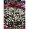 Hạt Macca Tây Nguyên to 500g - Ngon giòn, giàu dinh dưỡng, chỉ 125k (giảm từ 157.5k) 5