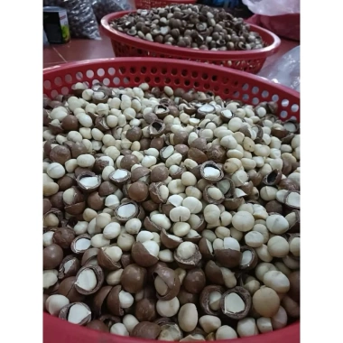 Hạt Macca Tây Nguyên to 500g - Ngon giòn, giàu dinh dưỡng, chỉ 125k (giảm từ 157.5k)