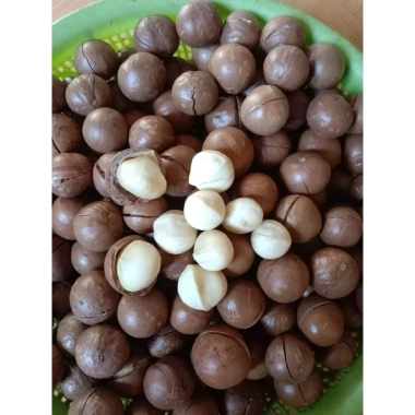 Hạt Macca Tây Nguyên to 500g - Ngon giòn, giàu dinh dưỡng, chỉ 125k (giảm từ 157.5k) 6 Hạt Macca Tây Nguyên to 500g - Ngon giòn, giàu dinh dưỡng, chỉ 125k (giảm từ 157.5k) 6