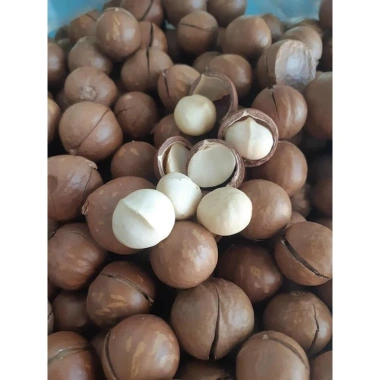 Hạt Macca Úc 500g kèm khóa tách - Rang sấy ngũ cốc ăn kiêng, giảm cân - 130k 4 Hạt Macca Úc 500g kèm khóa tách - Rang sấy ngũ cốc ăn kiêng, giảm cân - 130k 4