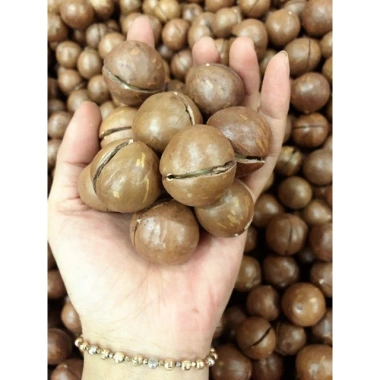 Hạt Macca Úc 500gr Nhập khẩu Khứa Vỏ Nguyên Vị Béo Ngậy Dinh Dưỡng Cao Giá 129k