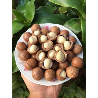 Hạt Macca Úc 500gr Thơm Ngon - Giá 109.000 VND, Giảm Đến 141.700 VND