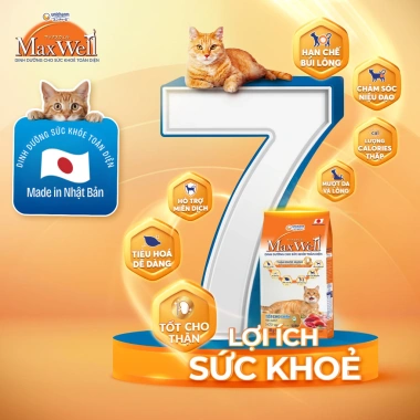 Hạt Mèo MAXWELL 750‑800g Hỗ Trợ Thận, Giảm Nôn, Dễ Tiêu Hóa, Ít Mặn, Trưởng Thành 2