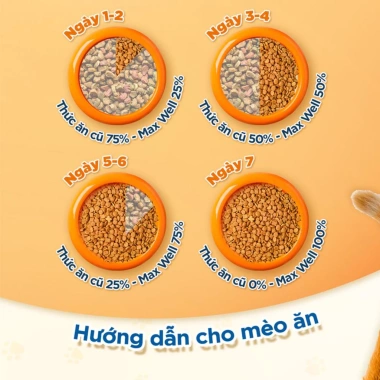 Hạt Mèo MAXWELL 750‑800g Hỗ Trợ Thận, Giảm Nôn, Dễ Tiêu Hóa, Ít Mặn, Trưởng Thành 4