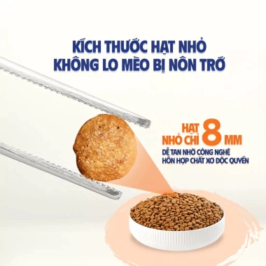 Hạt Mèo MAXWELL 750‑800g Hỗ Trợ Thận, Giảm Nôn, Dễ Tiêu Hóa, Ít Mặn, Trưởng Thành 5