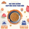 Hạt Mèo MAXWELL 750‑800g Hỗ Trợ Thận, Giảm Nôn, Dễ Tiêu Hóa, Ít Mặn, Trưởng Thành 8