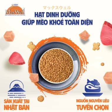Hạt Mèo MAXWELL 750‑800g Hỗ Trợ Thận, Giảm Nôn, Dễ Tiêu Hóa, Ít Mặn, Trưởng Thành 8