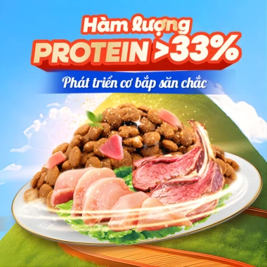 Hạt mèo Silver Spoon 1kg vị gà cá ngừ, giảm nôn trớ, dễ tiêu hoá - Bếp Cưng 145k 2
