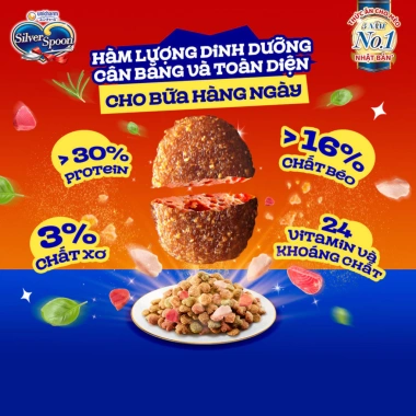 Hạt mèo Silver Spoon 1kg vị gà cá ngừ, giảm nôn trớ, dễ tiêu hoá - Bếp Cưng 145k 3