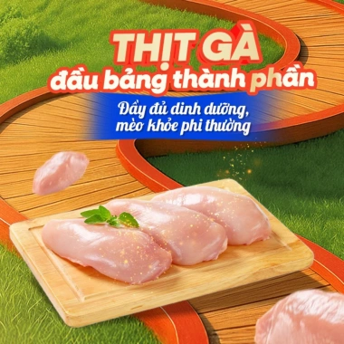 Hạt mèo Silver Spoon 1kg vị gà cá ngừ, giảm nôn trớ, dễ tiêu hoá - Bếp Cưng 145k 5