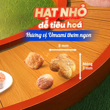 Hạt mèo Silver Spoon 1kg vị gà cá ngừ, giảm nôn trớ, dễ tiêu hoá - Bếp Cưng 145k 6