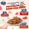 Hạt mèo Silver Spoon 1kg vị gà cá ngừ, giảm nôn trớ, dễ tiêu hoá - Bếp Cưng 145k 7