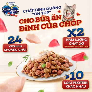 Hạt mèo Silver Spoon 1kg vị gà cá ngừ, giảm nôn trớ, dễ tiêu hoá - Bếp Cưng 145k 7