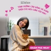 Hạt MININO Cá Hồi 1.5kg Dinh Dưỡng Toàn Diện Cho Mèo Mọi Lứa Tuổi - Giá Ưu Đãi 140k 7