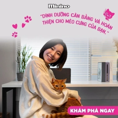 Hạt MININO Cá Hồi 1.5kg Dinh Dưỡng Toàn Diện Cho Mèo Mọi Lứa Tuổi - Giá Ưu Đãi 140k