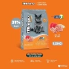 Hạt MININO PLUS ADULT 1.5KG Hạt Cho Mèo Trưởng Thành 32% Đạm Dưỡng Lông & Tiêu Hoá Giá Ưu Đãi 172.000₫ 2