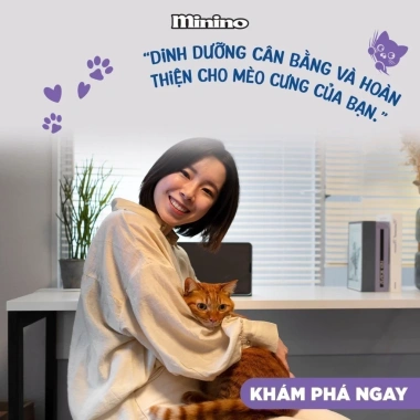 Hạt MININO YUM Vị Mực 1.5kg, Thức Ăn Mèo Mọi Lứa Tuổi, Giá Giảm 135k 3 Hạt MININO YUM Vị Mực 1.5kg, Thức Ăn Mèo Mọi Lứa Tuổi, Giá Giảm 135k 3