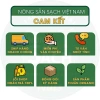 Hạt mix dinh dưỡng 7 loại Macca óc chó hạnh nhân hạt điều bí xanh nho khô 500g Giá 249.000đ 7