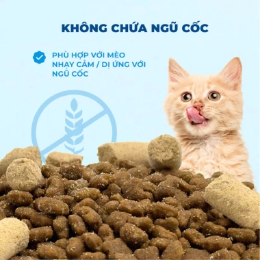 Hạt MR.VET G1 Grain Free 1KG - Thức ăn không ngũ cốc cho mèo mọi lứa tuổi, giảm còn 139.000 VND 4