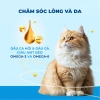 Hạt MR.VET G1 Grain Free 1KG - Thức ăn không ngũ cốc cho mèo mọi lứa tuổi, giảm còn 139.000 VND 6