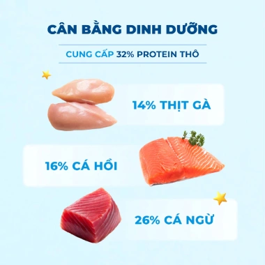 Hạt MR.VET G1 Grain Free 1KG - Thức ăn không ngũ cốc cho mèo mọi lứa tuổi, giảm còn 139.000 VND 7