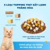 Hạt MrVet T1 1KG - Hoả Tốc 21H, Hỗ Trợ Tiêu Hoá Cho Mèo Mọi Lứa Tuổi Giá Ưu Đãi 152.000 VND 4