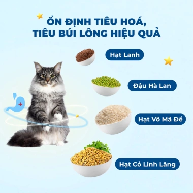 Hạt MrVet T1 1KG - Hoả Tốc 21H, Hỗ Trợ Tiêu Hoá Cho Mèo Mọi Lứa Tuổi Giá Ưu Đãi 152.000 VND 7