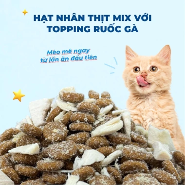 Hạt MR.VET T3 1KG - Hỗ Trợ Đường Tiết Niệu, Thức Ăn Cho Mèo, Giá 168.000₫ 2