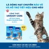 Hạt MR.VET T3 1KG - Hỗ Trợ Đường Tiết Niệu, Thức Ăn Cho Mèo, Giá 168.000₫ 4
