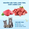Hạt MR.VET T3 1KG - Hỗ Trợ Đường Tiết Niệu, Thức Ăn Cho Mèo, Giá 168.000₫ 5