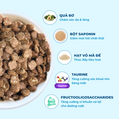 Hạt MR.VET T3 1KG - Hỗ Trợ Đường Tiết Niệu, Thức Ăn Cho Mèo, Giá 168.000₫ 7