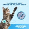 Hạt MRVET T4 1kg Hoả Tốc 21H Cho Mèo Mọi Lứa Tuổi - Giảm Mùi Chất Thải, Tăng Cường Miễn Dịch, Giá Ưu Đãi 168.000₫ 7