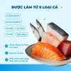 Hạt Mr.Vet T4 1Kg Hoả Tốc 21H Giảm Mùi Hôi và Topping 6 Loại Cá Mèo Mọi Lứa Tuổi 5