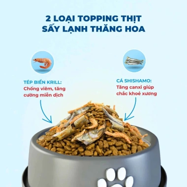 Hạt Mr.Vet T4 1Kg Hoả Tốc 21H Giảm Mùi Hôi và Topping 6 Loại Cá Mèo Mọi Lứa Tuổi