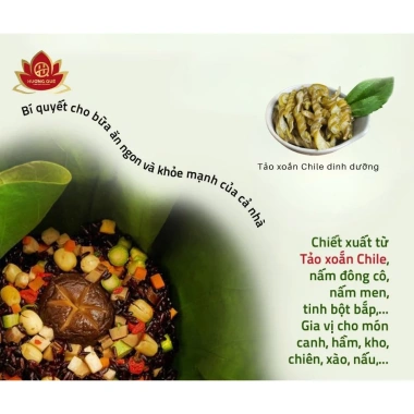 Hạt Nêm Tảo Xoắn Chile 150g - Chay Mặn Đều Dùng Được, Giá chỉ 25k TiPiKay Shop