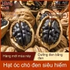 Hạt óc chó đen vỏ vàng Đặc sản Tân Cương - Hạt điều 100% tự nhiên, ăn vặt bổ dưỡng 239.900₫
