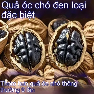 Hạt óc chó đen vỏ vàng Đặc sản Tân Cương - Hạt điều 100% tự nhiên, ăn vặt bổ dưỡng 239.900₫ 2