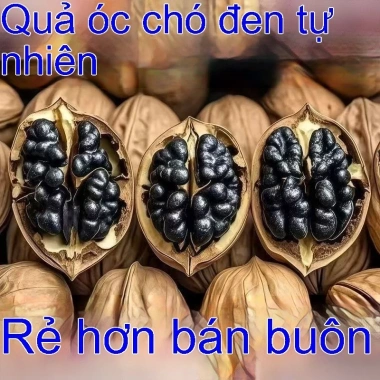 Hạt óc chó đen vỏ vàng Đặc sản Tân Cương - Hạt điều 100% tự nhiên, ăn vặt bổ dưỡng 239.900₫ 3