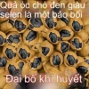 Hạt óc chó đen vỏ vàng Đặc sản Tân Cương - Hạt điều 100% tự nhiên, ăn vặt bổ dưỡng 239.900₫ 6