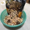 Hạt S2PET V1 Langlike 32% Đạm Dinh Dưỡng Kích Thúc Thèm Ăn Cho Mèo Con & Lớn 1,5‑5kg - Giá 122.900đ 2