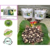Hạt sen rang muối thủ công 1kg - Giòn tan, vị mặn thơm, giảm giá 135.000 VND