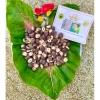 Hạt sen rang muối thủ công 1kg - Giòn tan, vị mặn thơm, giảm giá 135.000 VND 4