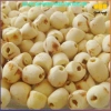 Hạt sen ta sấy khô thơm ngon - Sen Nam Bắc, nguyên liệu nấu chè, chỉ 99.500đ 4