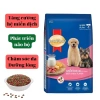 Hạt SMARTHEART Puppy Bò và Sữa 1.3kg - Dinh dưỡng cao cho chó con, tăng sức khỏe 4
