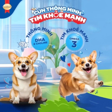 Hạt SMARTHEART Puppy Bò và Sữa 1.3kg - Dinh dưỡng cao cho chó con, tăng sức khỏe 6 Hạt SMARTHEART Puppy Bò và Sữa 1.3kg - Dinh dưỡng cao cho chó con, tăng sức khỏe 6
