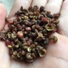 Hạt tê, hoa tiêu thượng hạng - Gia vị tứ xuyên chuẩn Trung Quốc, giá chỉ 22.000đ 6