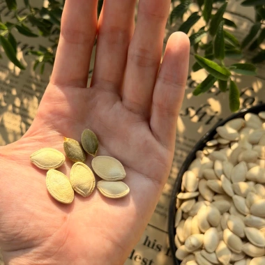 Hạt Tết Bí Hiệu Duy Ký: Hạt Bí Béo Bùi, Thơm Ngon, Sấy Khô, Cắn Tách Vỏ Ăn Liền, Giá chỉ 165.000₫