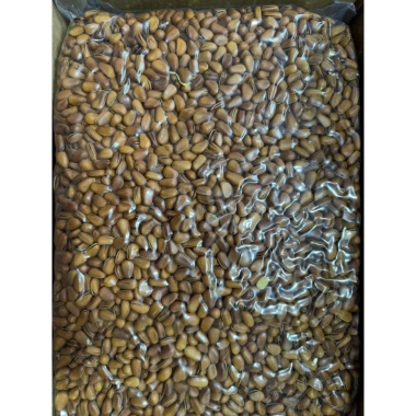 Hạt Thông Mỹ Sấy Chín Loại 1 500g Đỏ Giòn Tan, Dinh Dưỡng, Ăn Kiêng, Ăn Bầu - 72.000 VND 4